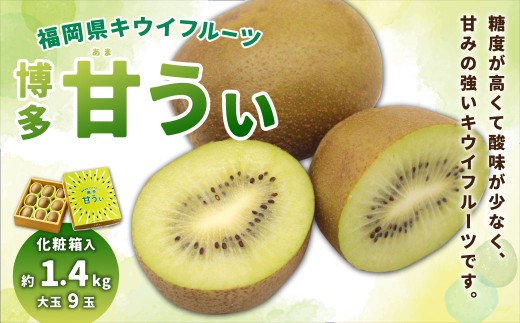 福岡県ブランド キウイフルーツ 「博多甘うぃ」 化粧箱 大玉9玉 約1.4kg