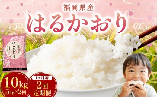 【1ヶ月毎2回定期便】はるかおり5kg