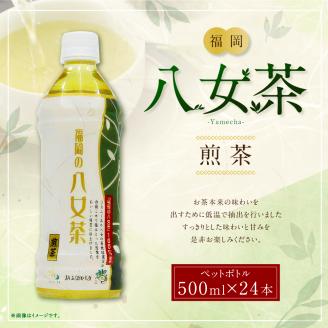 八女茶 煎茶 ペットボトル 500ml×24本 1箱 1ケース 茶 お茶 緑茶