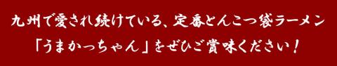 うまかっちゃん 5袋×6パック ラーメン 袋ラーメン とんこつ