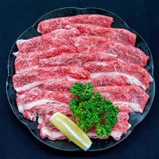 福岡の豊かな自然で育った 博多和牛 しゃぶしゃぶ用 約700g ブリスケ 九州産 国産牛 黒毛和牛