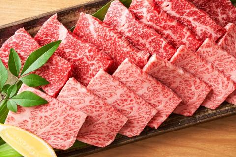  博多和牛 焼肉 用 500ｇ 牛肉 福岡県 糸田町