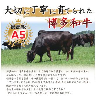 博多和牛 切り落とし 500g 牛肉 国産 冷凍