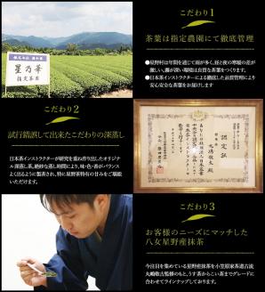 訳あり品 八女星野産 深蒸し茶 合計1.1kg 100g×11本 八女茶 お茶 茶葉 緑茶 家庭用