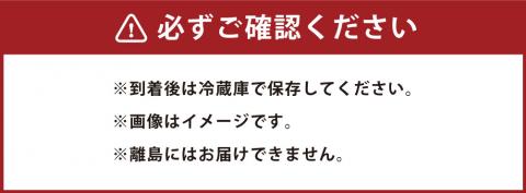 母ちゃんの手づくり味噌 おかつ味噌 1kg×4個 合計4kg 熟成 味噌 米 大豆 麹