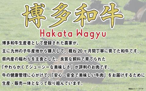 福岡の豊かな自然で育った 博多和牛 しゃぶしゃぶ用 約700g ブリスケ 九州産 国産牛 黒毛和牛