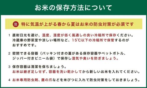 【令和7年産】いとだ泌泉米 玄米 30kg (5kg×6袋)