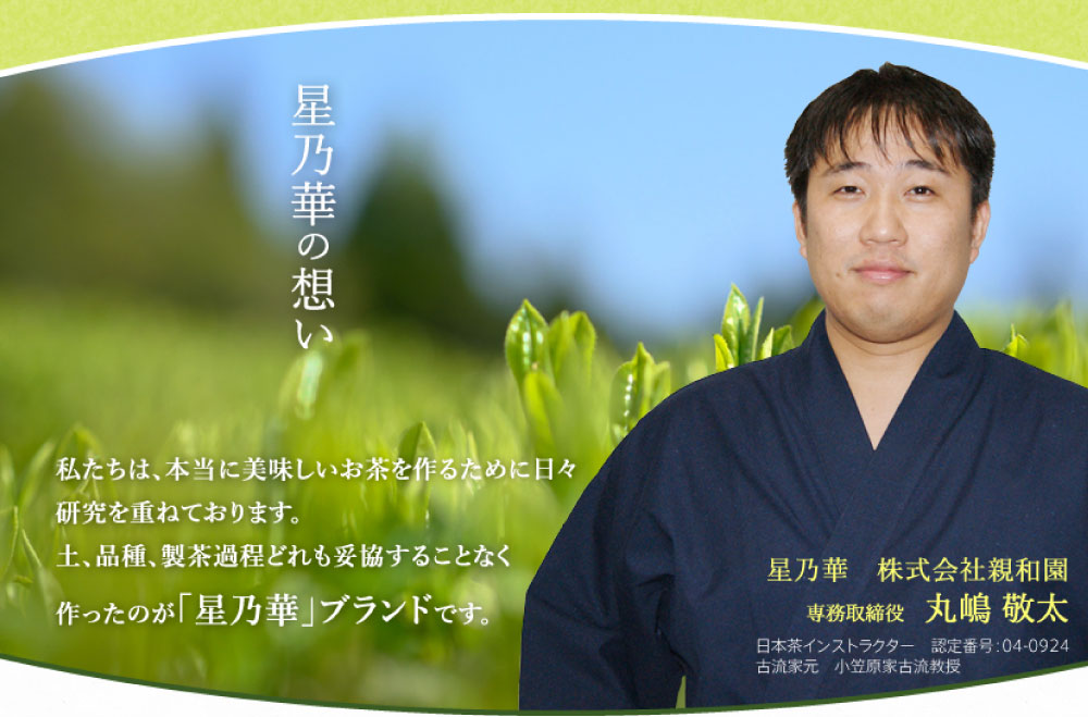 星乃伝統本玉露超（ちょう） 100g×1袋 茶 お茶 緑茶