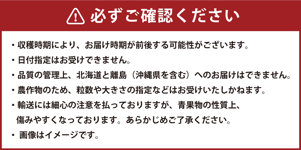 福岡県産 あまおう 2パック 合計500g以上 いちご 苺 【2026年1月上旬-3月下旬発送】