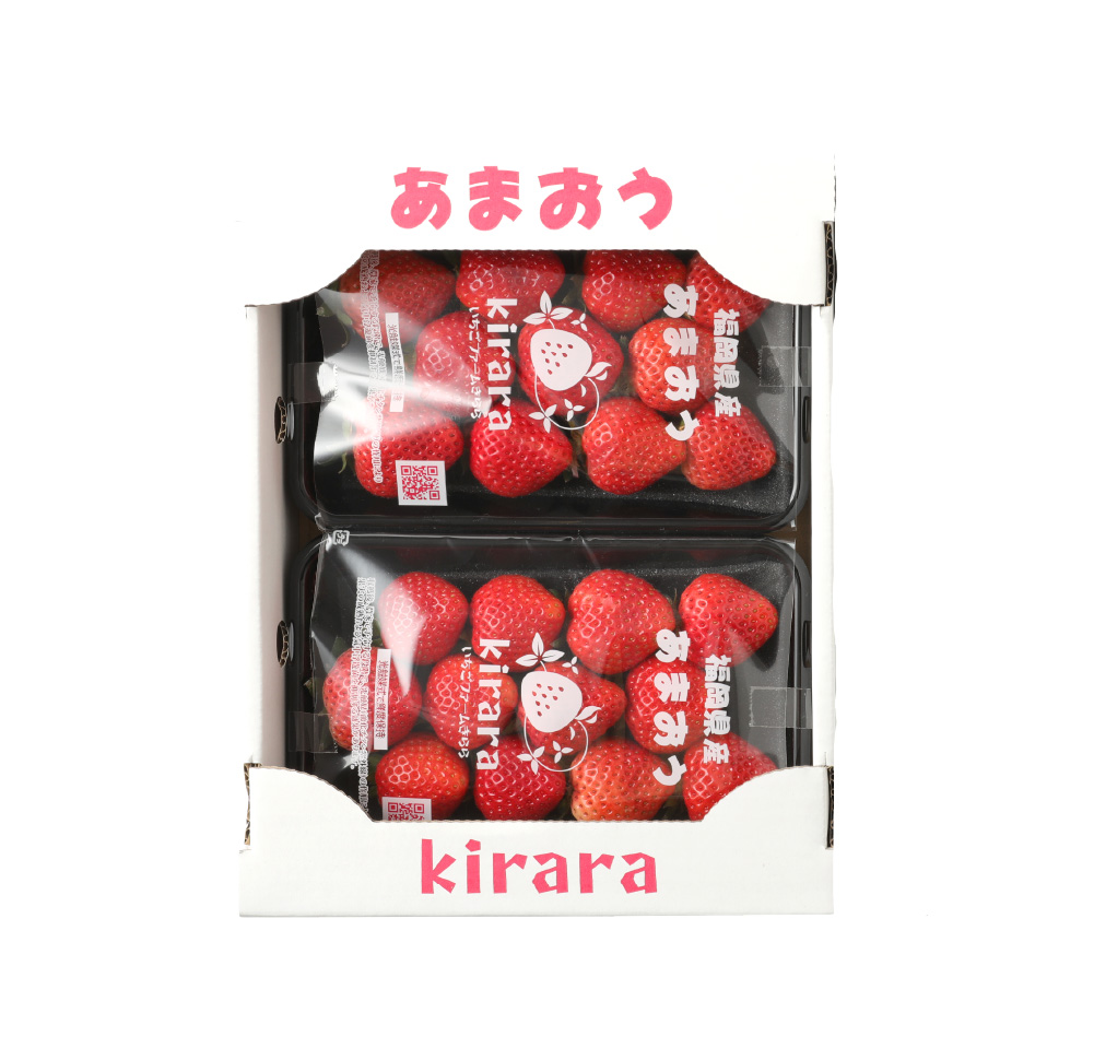  あまおう 約2280g 約285g×8パック いちごファームきらら【ふくおかエコ農産物認【2026年2月上旬-3月下旬発送予定】