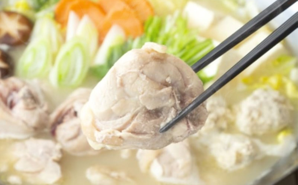 上田商店 ありた鶏水炊き（5～6人前） 追い地どりセット 水炊き 鶏肉 ソース付き お鍋 セット 国産 冷凍 福岡県 糸田町