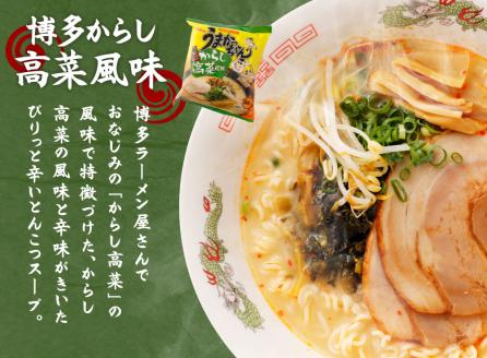 うまかっちゃん 博多からし高菜風味 5袋×6パック	ラーメン 袋ラーメン とんこつ
