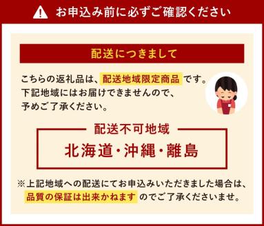 【2024年1月より順次発送開始】 福岡県産 あまおう 2パック 合計500g以上 いちご 苺