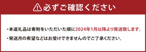 【2024年1月より順次発送】「いちごファームきらら」の あまおう 冷凍いちご 2kg