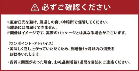 【令和7年産】いとだ泌泉米 玄米 10kg (5kg×2袋)