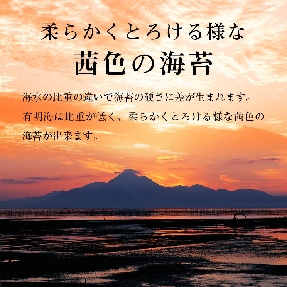 福岡県産 有明海苔 味海苔 大丸ボトル 8切80枚 6本セット