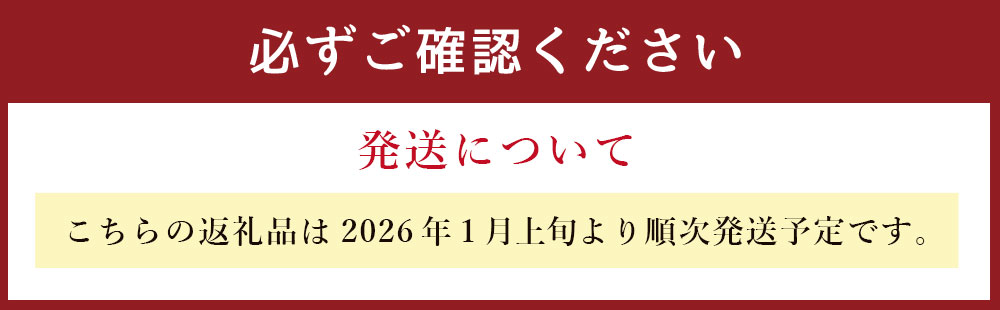 福岡県産 あまおう 2パック 合計500g以上 いちご 苺 【2026年1月上旬-3月下旬発送】
