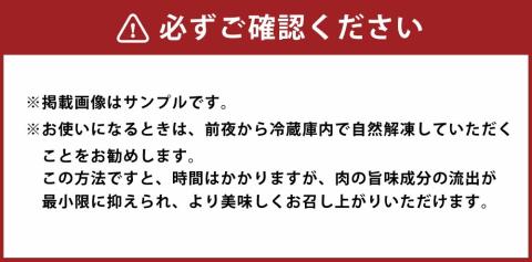 博多和牛 サーロインステーキ セット 500g (250g×2枚) 牛肉 国産 冷凍