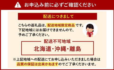 【2024年3月上旬発送開始】 ＜特選＞ 胡蝶蘭切り花 100輪セット