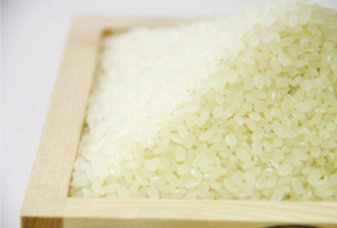 【令和7年産】いとだ泌泉米 白米 36kg (4.5kg×8袋)