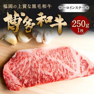 博多和牛 サーロインステーキ 250g (250g×1枚) 牛肉 ステーキ