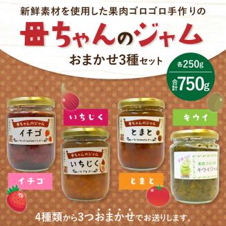 〈母ちゃんのジャム〉 手作りジャム 250g×おまかせ3種(各1個)セット ジャム 詰め合わせ