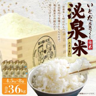 【令和5年産】いとだ泌泉米 白米 36kg (4.5kg×8袋)