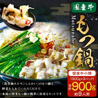 国産牛 小腸 (300g×３セット） もつ鍋