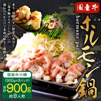 国産牛 小腸 (300g×3セット） ホルモン鍋