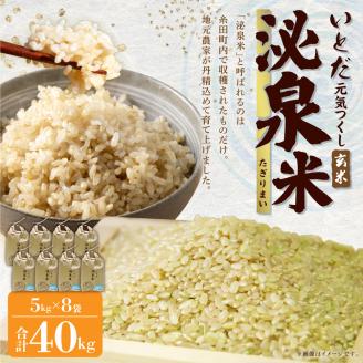 【令和7年産】いとだ泌泉米 玄米 40kg (5kg×8袋)