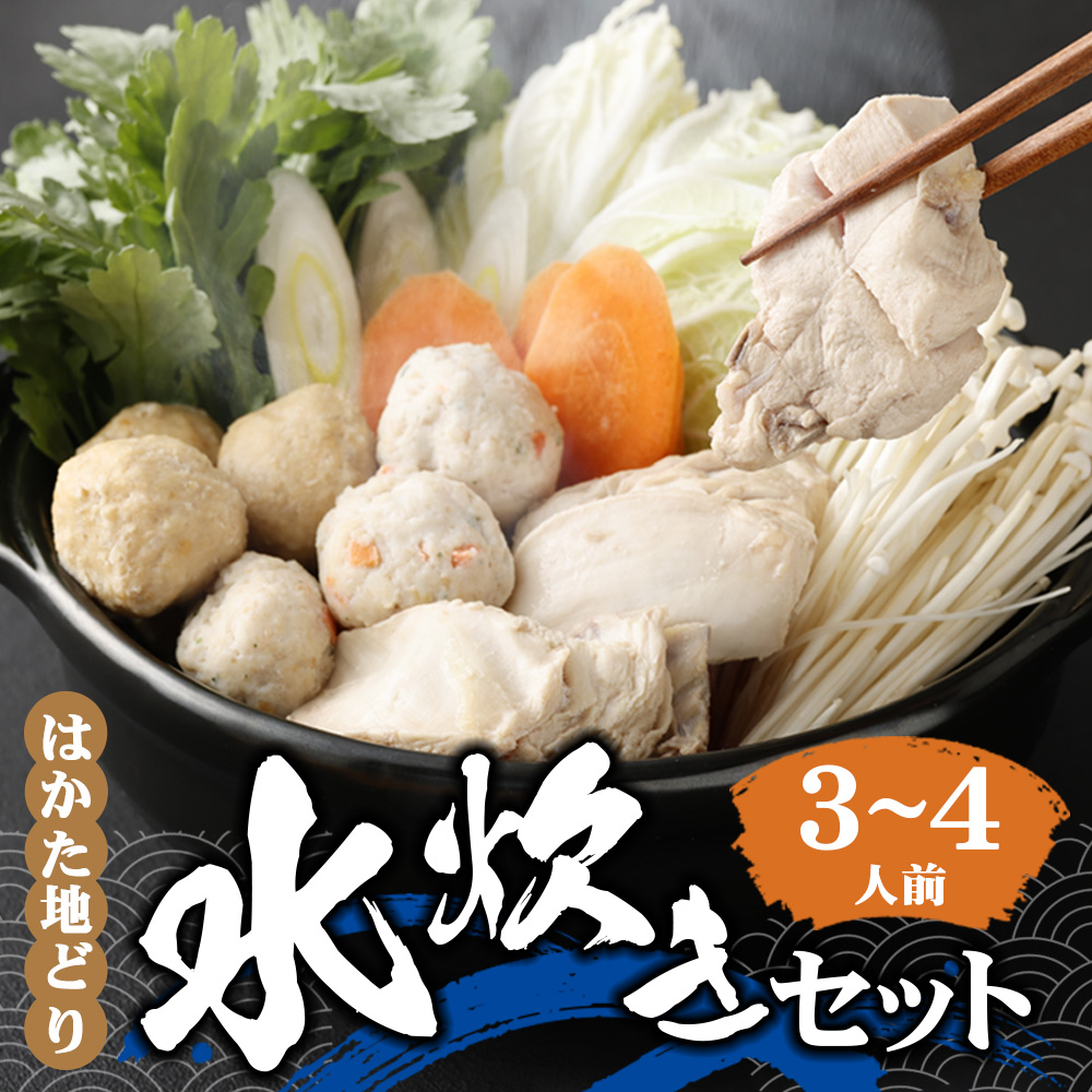 はかた地どり 水炊きセット (3-4人前) スープ つみれ 肉団子