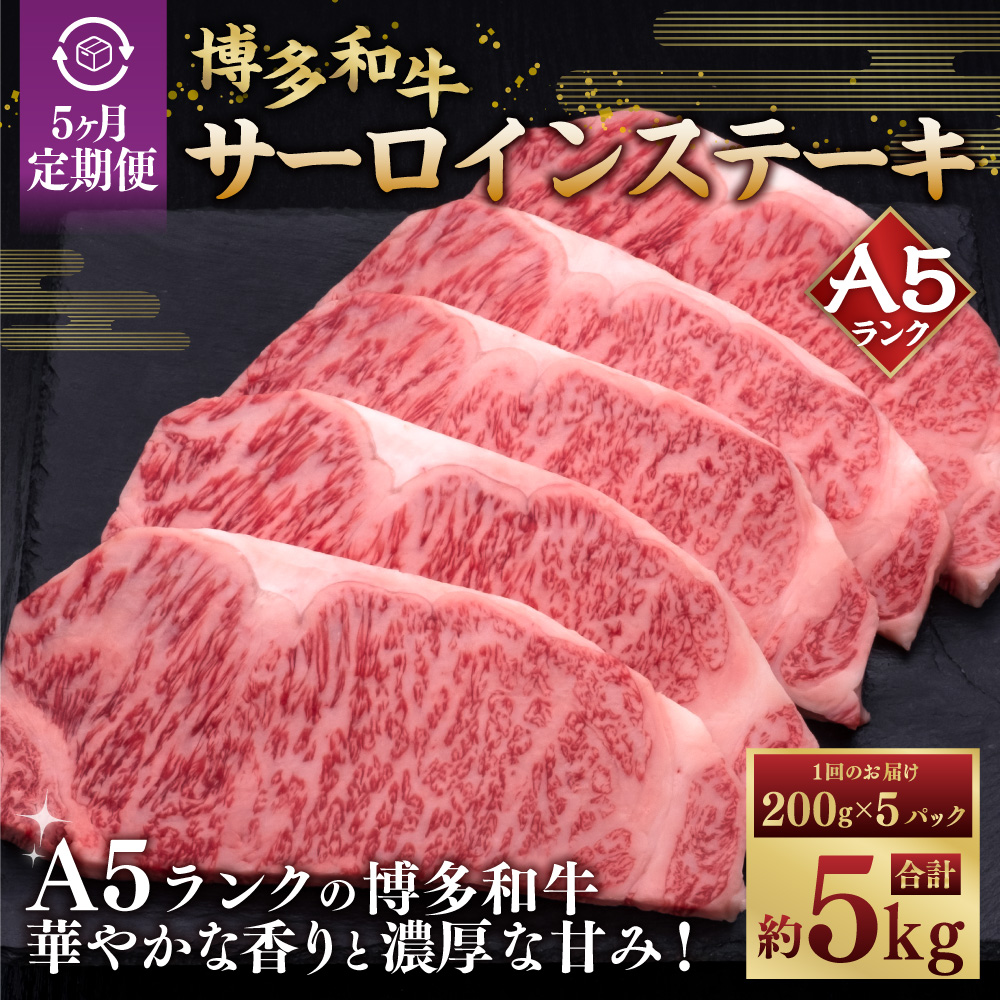 【5ヶ月連続定期便】A5等級 博多和牛サーロインステーキ 200g×5枚 肉 牛肉
