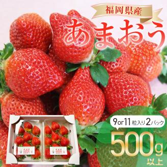 [2024年1月より順次発送開始] 福岡県産 あまおう 2パック 合計500g以上 いちご 苺