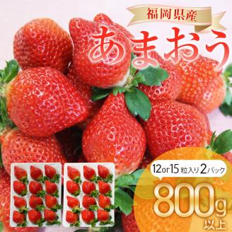 [2024年1月より順次発送開始]福岡県産 あまおう 800g以上 いちご 苺
