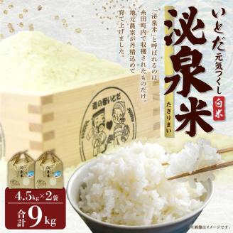 【令和7年産】いとだ泌泉米 白米 9kg (4.5kg×2袋)