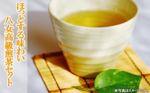 【八女高級煎茶】100g×2本セット【ホッとする味わい】 N8