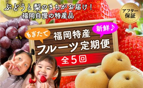 [年5回] ぶどうと梨のまち“川崎町"が お届けする人気の定期便!