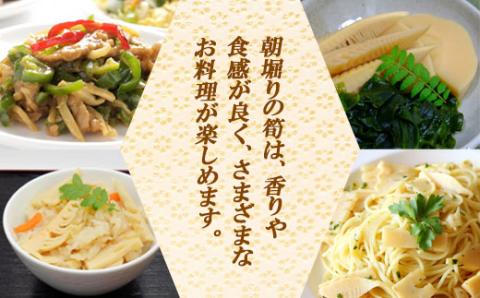 【数量限定】赤村産　朝掘り皮つき竹の子　約３Kg S1