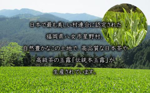 【八女茶】奥八女星野茶 高木茶園の深蒸し高級煎茶(深蒸し茶)100g×2袋 4K14