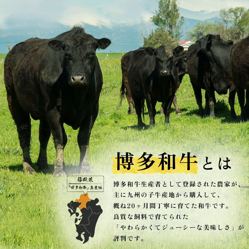 【福岡県産】博多和牛切り落とし 1.6kg 2L6