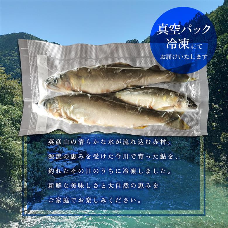 冷凍鮎　約500g 3E5
