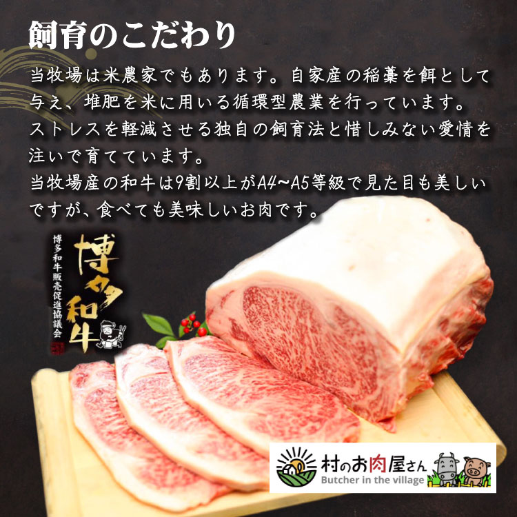 赤村産博多和牛のミックスホルモン5種500ｇ 3H1