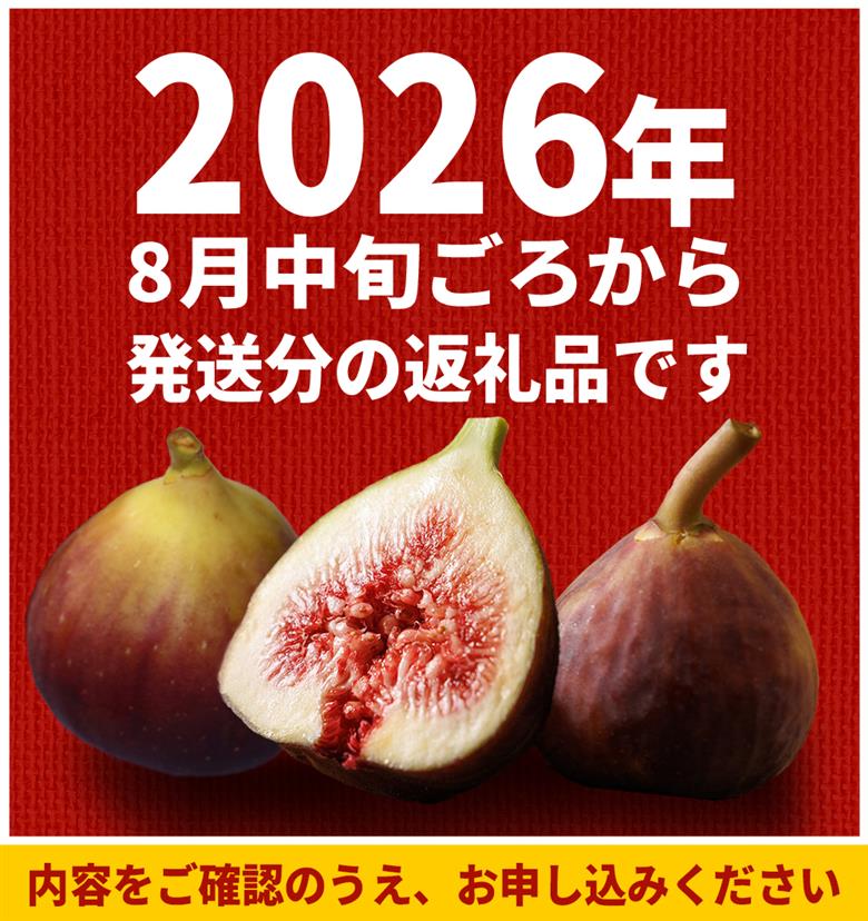 福岡県ブランド いちじく「とよみつひめ」約1.2ｋｇ(約300ｇ×4パック) 3W2
