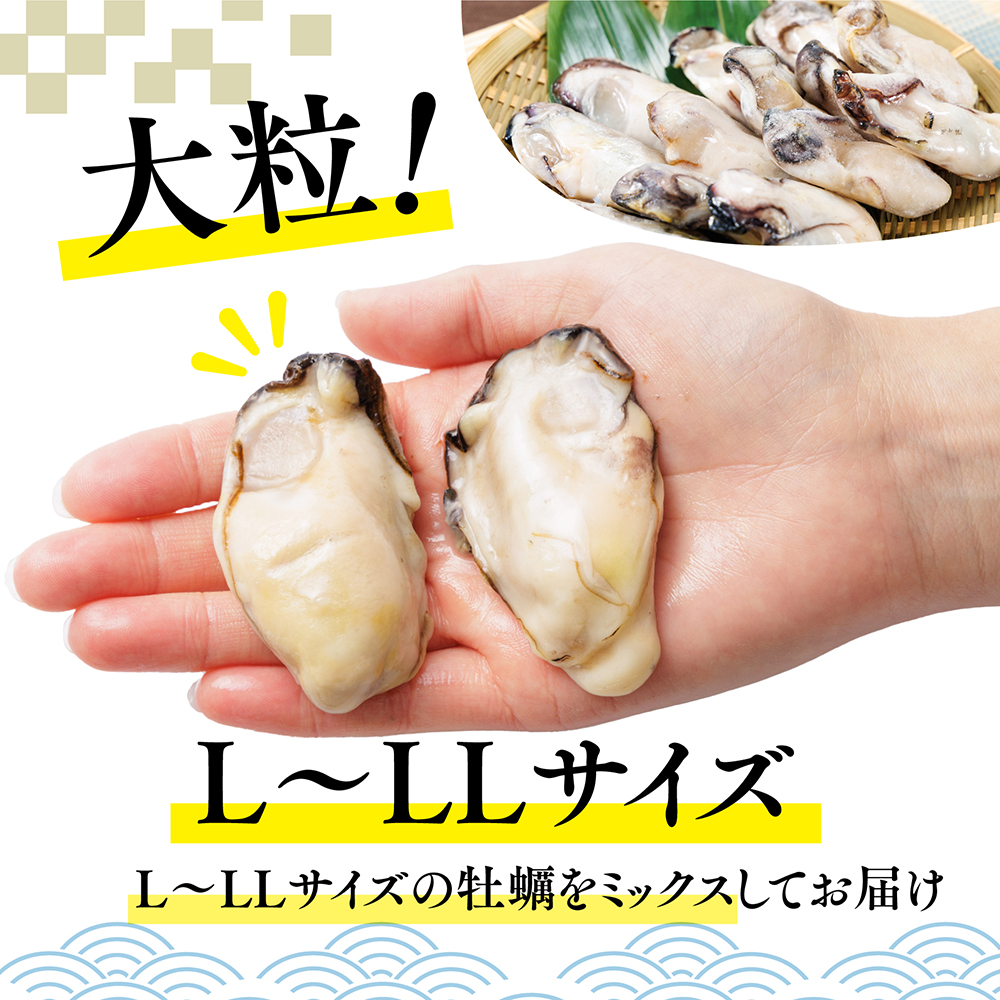 急速凍結！冬の味覚国産牡蠣1.5kg(500ｇ×3袋) 4S2