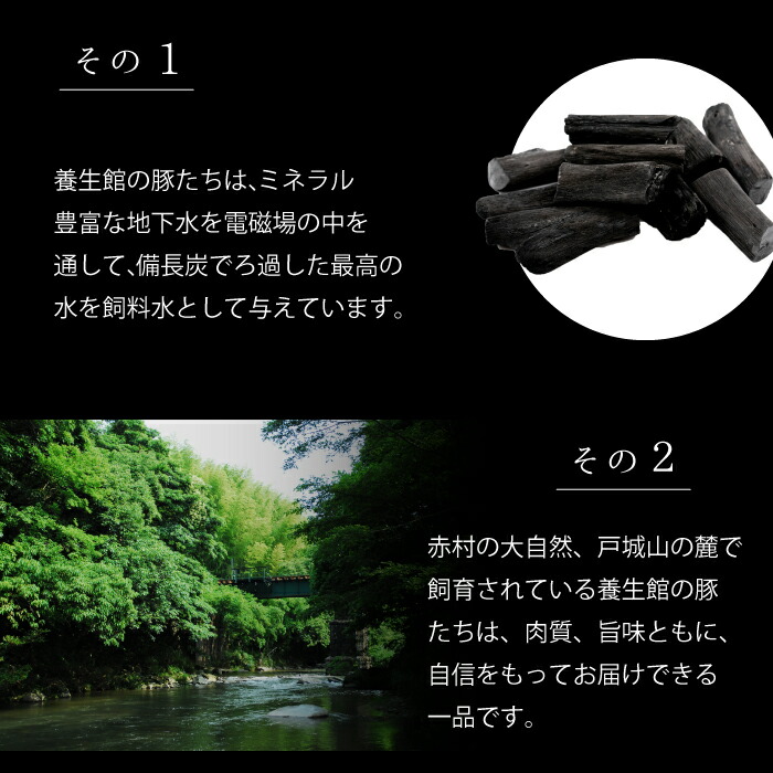 赤村養生館 豚ブロック肉セット 2.3kg B15