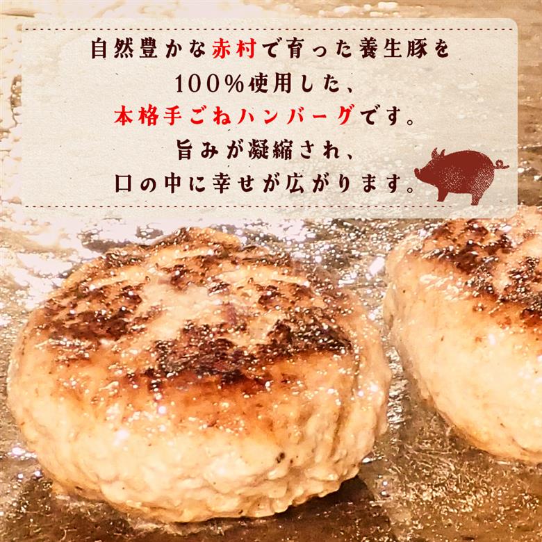 赤村養生館 特製手ごねハンバーグ 14個 B19