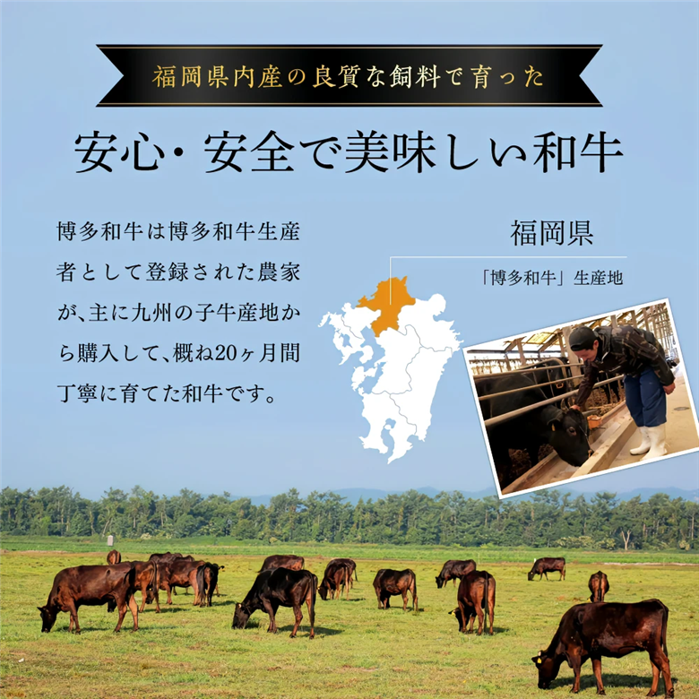 訳あり！【A4～A5】博多和牛焼肉切り落とし(肩ロース・バラ）　1kg(500ｇ×２P) 　Y41