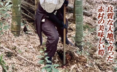【数量限定】赤村産　朝掘り皮つき竹の子　約３Kg S1