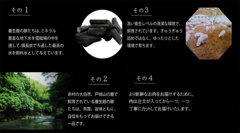 赤村養生館 豚小間切れ 3㎏ B2