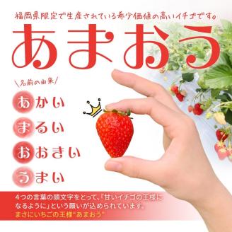 【赤村限定】福岡県ブランドいちご“あまおう”農家直送【300g×2パック】 2Z6